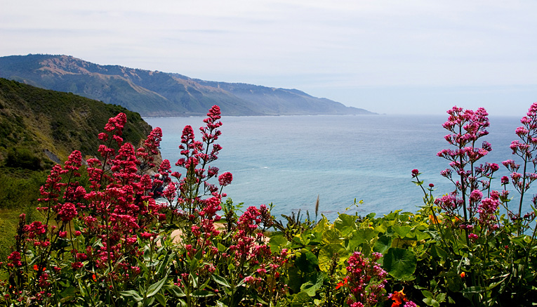 Bccc-california-coast-deluxe-camping-4